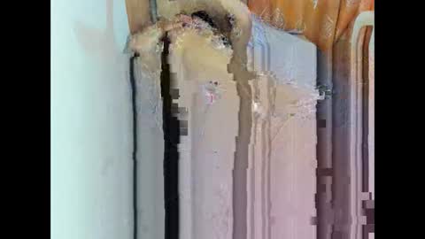 riridell_69 online show from 06/11/26, 04:43