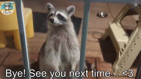 Ryan aka KeylimeRy online show from 10/24/25, 12:52