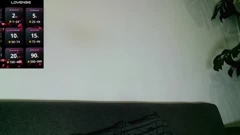 SebasRoa online show from 11/28/25, 02:31