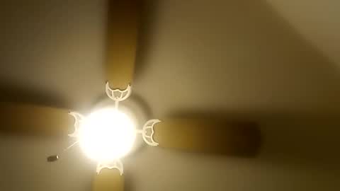 Snapshot of robertsaiz4200 chatting on 12/20/25, 08:49 robertsaiz4200 online show from 12/20/25, 08:49