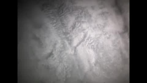 Snapshot of robertsaiz4200 chatting on 03/15/26, 08:31 robertsaiz4200 online show from 03/15/26, 08:31