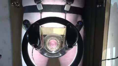 Robodickmilker online show from 02/01/25, 08:18