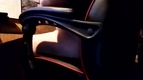 Robo Nuts online show from 11/20/25, 06:35