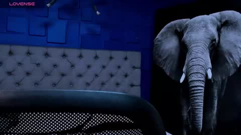 rocco_santos online show from 09/14/25, 02:00