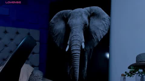 rocco_santos online show from 09/19/25, 07:10