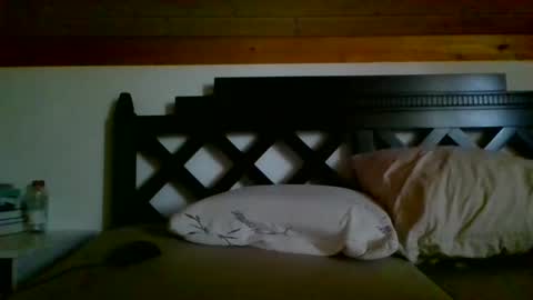 Snapshot of rockinger73 chatting on 01/01/25, 01:16 Mick online show from 01/01/25, 01:16