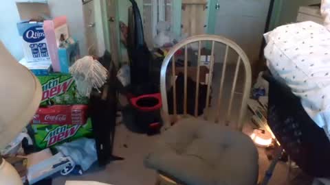 Snapshot of rocky082288 chatting on 01/09/25, 01:24 rocky082288 online show from 01/09/25, 01:24