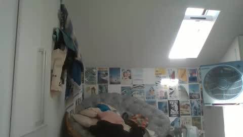 Snapshot of rodofra chatting on 03/13/26, 11:06 rodofra online show from 03/13/26, 11:06