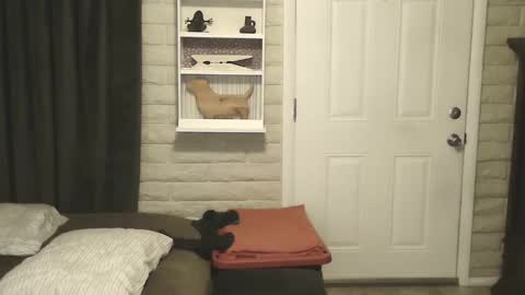 Snapshot of roinaz chatting on 01/25/25, 06:55 roinaz online show from 01/25/25, 06:55