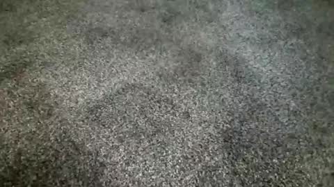 Snapshot of rokard121 chatting on 03/04/25, 04:41 rokard121 online show from 03/04/25, 04:41