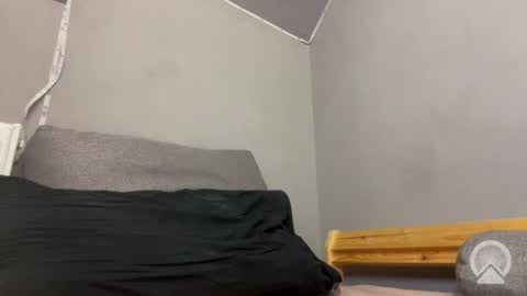 Snapshot of roma_shyguy_ chatting on 04/19/26, 12:54 roma_shyguy_ online show from 04/19/26, 12:54