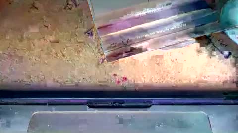 Snapshot of romeo9000x chatting on 01/06/26, 02:26 romeo9000x online show from 01/06/26, 02:26