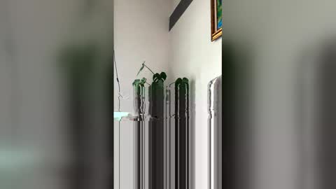 Snapshot of ronihall chatting on 03/29/26, 06:08 Roni Hall online show from 03/29/26, 06:08