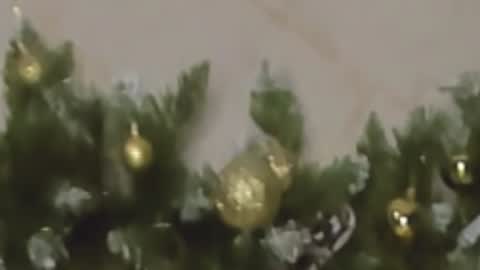 Chloe online show from 12/27/24, 10:05