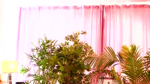 Snapshot of rosaliefleur chatting on 07/27/26, 08:21 Rosa online show from 07/27/26, 08:21