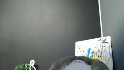 Rosalina online show from 11/24/25, 02:28