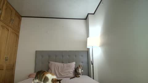 Snapshot of rosasanta8009 chatting on 10/19/25, 08:31 I am Rosa online show from 10/19/25, 08:31