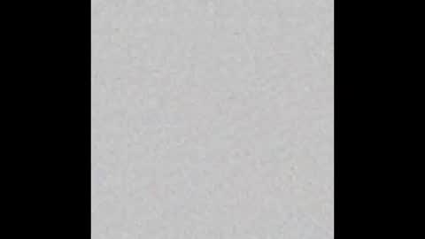 Rose online show from 10/23/25, 06:50