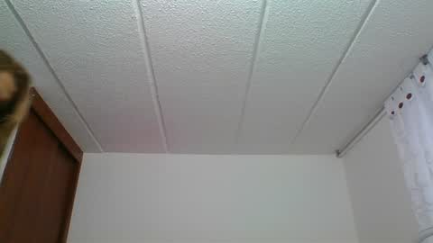 Rossana  online show from 12/30/24, 10:23