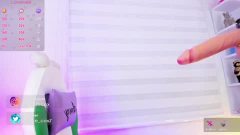   online show from 01/21/25, 11:13