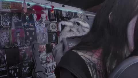 Snapshot of rotten_dreams chatting on 03/01/26, 06:10 rot online show from 03/01/26, 06:10