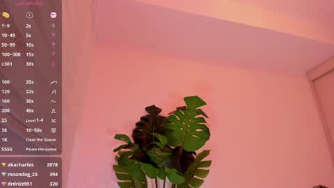 DREAM online show from 01/04/25, 02:46