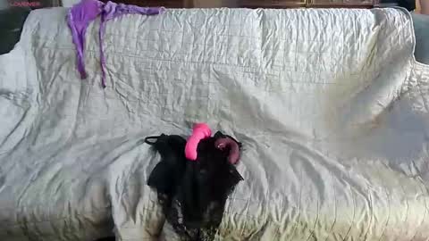 roxaneramirez online show from 05/04/26, 05:58