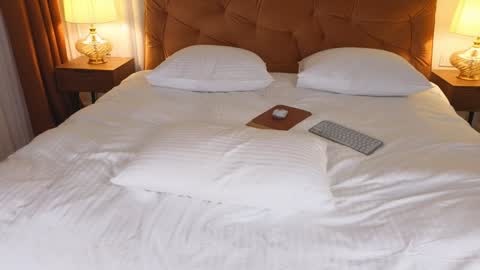 Im Roxy ntmu online show from 01/29/25, 03:37