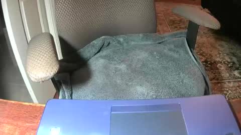 Snapshot of royer8650 chatting on 06/22/26, 08:55 Lookingaround online show from 06/22/26, 08:55
