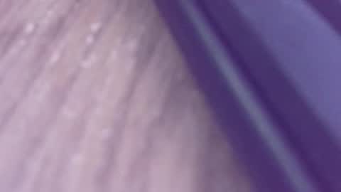 Snapshot of rudiandhisdick chatting on 03/26/26, 01:17 rudiandhisdick online show from 03/26/26, 01:17