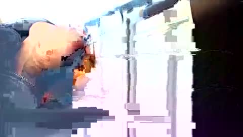 Snapshot of rushover63 chatting on 03/03/25, 10:49 rushover63 online show from 03/03/25, 10:49