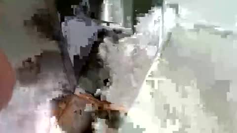 ryucravenmore online show from 10/14/25, 03:35