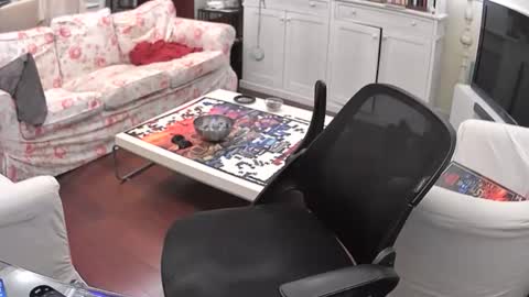 s3xyboy79 online show from 04/26/26, 01:47