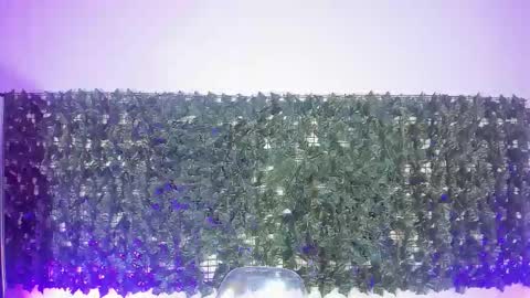 Snapshot of sabinamerchetti_ chatting on 03/17/26, 12:26 Sabina Merchetti online show from 03/17/26, 12:26