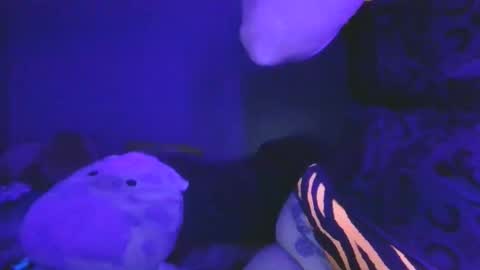 saddybaddie online show from 03/13/26, 06:09