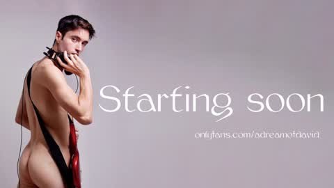 Snapshot of sahueso chatting on 01/30/25, 09:14 David Sahueso online show from 01/30/25, 09:14