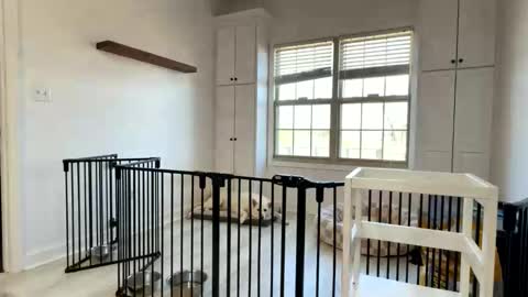 Cum Hanks online show from 03/13/26, 02:23