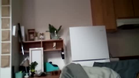 salis1981 online show from 11/12/25, 06:08