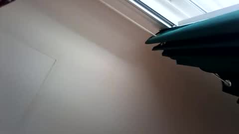 salis1981 online show from 12/13/25, 07:53