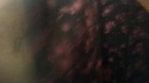 Snapshot of salmonman1305 chatting on 01/17/25, 11:49 salmonman1305 online show from 01/17/25, 11:49