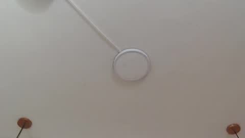 salome_daniel online show from 10/25/25, 08:58