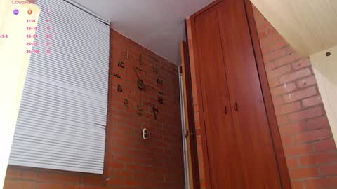 SAMANTHA online show from 01/14/25, 09:41