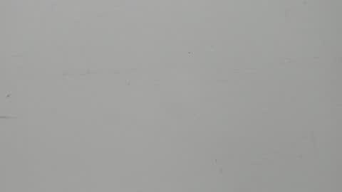 SALVATORE online show from 02/05/25, 11:23