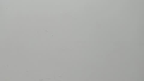 SALVATORE online show from 02/06/25, 11:10