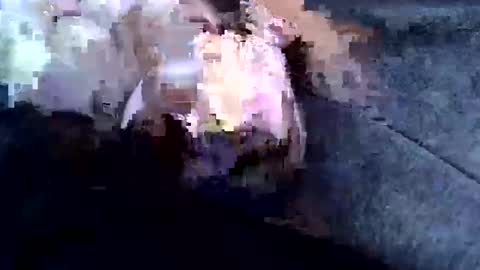 sam122227 online show from 02/03/25, 09:08