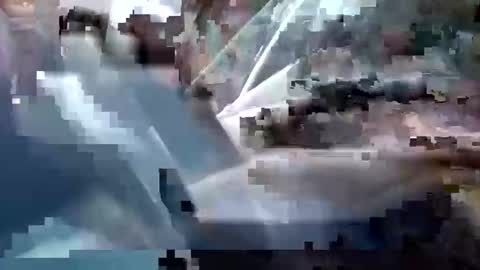 Snapshot of sam223382879 chatting on 12/25/24, 03:28 sam223382879 online show from 12/25/24, 03:28