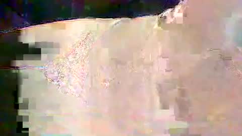 Snapshot of sam5554401727 chatting on 02/25/26, 06:28 sam5554401727 online show from 02/25/26, 06:28