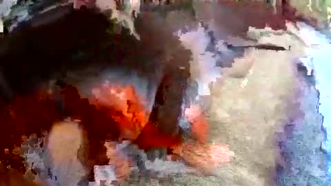 sam681820 online show from 11/24/25, 04:12