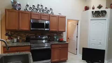 sam_papithebarber online show from 11/06/25, 04:24