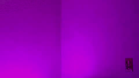 Sam Demia online show from 12/27/24, 02:58